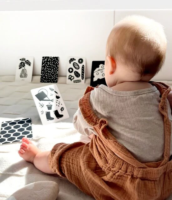 High Contrast Baby Flashcards